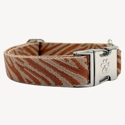 Zebra - Halsband Hond - XS - 22 / 36 cm - Puppy halsband - kleine hond