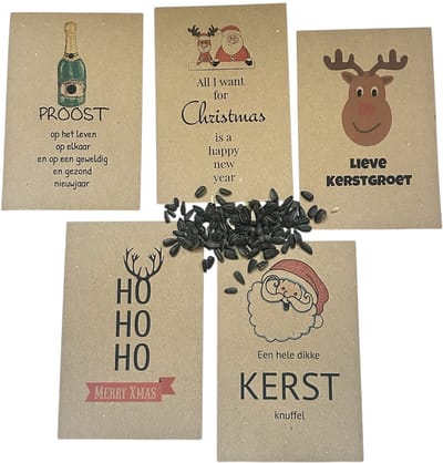 10 Kraft zakjes Kerst met zonnebloemzaden, 5 teksten,Kerst, kleine kadootjes, zonnebloemen, kraft, 10 stuks, maatwerk mogelijk, pesonaliseren,