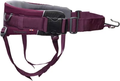 Honden Riem - Wandelriem - Buitenactiviteiten Hond - Verstelbare Band - Maat L - Paars
