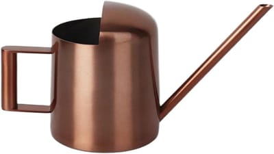 Mini Gieter Roestvrij Staal - Kleine Gieter Binnen - Planten Water Geven - Lange Nauwkeurige Tuit - 300 ml - Brons