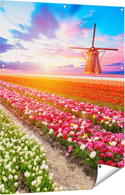 Gards Tuinposter Kleurrijke Bloemenveld met een Windmolen - 90x120 cm - Tuindoek - Tuindecoratie - Wanddecoratie buiten - Tuinschilderij