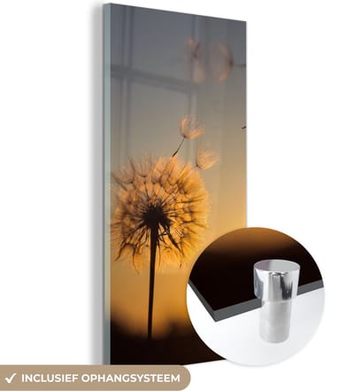 MuchoWow® Glasschilderij 20x40 cm - Schilderij acrylglas - Paardenbloem - Zon - Zonsondergang - Foto op glas - Schilderijen