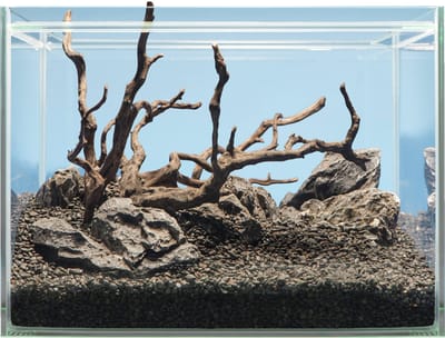 Sera Hardscape Shrimp stenen, wortels en bodemgrond voor garnalenaquarium 48|64|80 liter