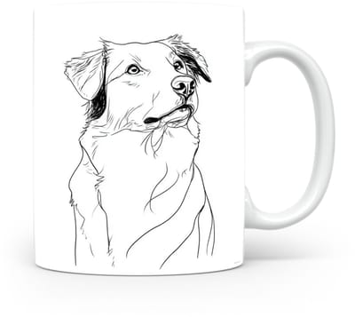 Beker Nova Scotia Duck Tolling Retriever