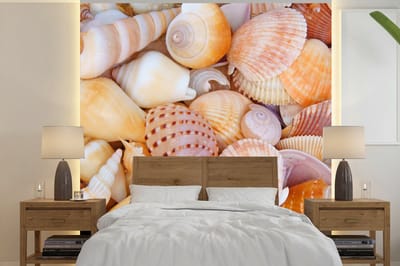 Behang - Fotobehang Schelpen - Strand - Zomer - Oranje - Breedte 350 cm x hoogte 350 cm