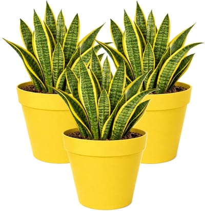 Mega Collections Plantenpot / bloempot - 3x - kunststof - geel - binnen/buiten - D29 x H28 cm