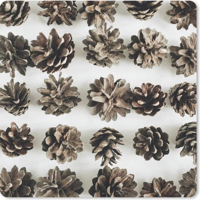 Muismat 20x20 cm - Mousepad Dennenappels - Winter - Wit - Muismatten - Kerst - Cadeau - Kerstcadeau voor mannen en voor vrouwen