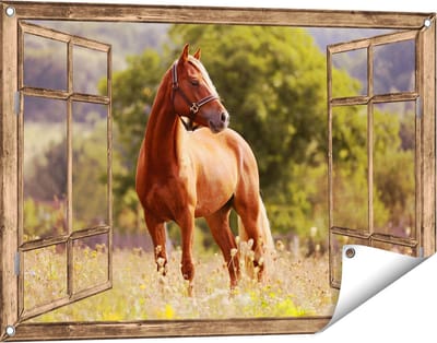 Gards Tuinposter Doorkijk Bruin Paard in de Wei - 90x60 cm - Tuindoek - Tuindecoratie - Wanddecoratie buiten - Tuinschilderij
