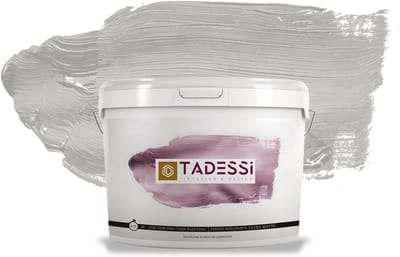 Tadessi Color Vista Muurverf - Dispersie - Koelgrijs Mat - 2,5 L