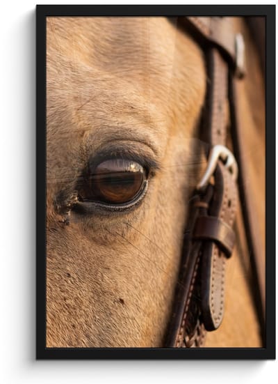 Poster in lijst - Fotolijst 40x60 cm - Posters - Paard - Oog - Bruin - Posterlijst zwart - Decoratie - Wanddecoratie woonkamer - Muurdecoratie slaapkamer