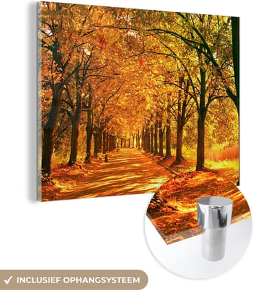 MuchoWow® Glasschilderij 40x30 cm - Schilderij acrylglas - Bos - Herfst - Seizoenen - Landelijk - Foto op glas - Schilderijen