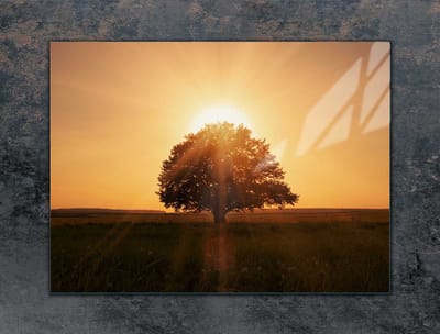 TMK ArtDeko - Snijplank - 70x52 cm - Glas - Beschermende Panelen - Hout Motief