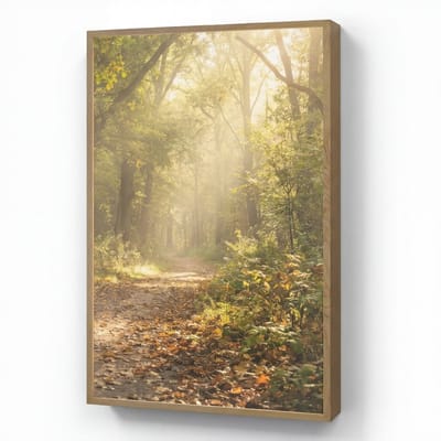 Wandlamp 70x100 cm - Oplaadbaar - Zonlicht - Bospad - Bomen - Wandlampen binnen woonkamer - Slaapkamer lamp - Decoratieve nachtlamp - Vloerlamp draadloos