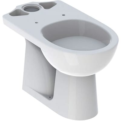 Geberit Renova pedestal WC for surface-mounted cistern, vertical outlet 203821000