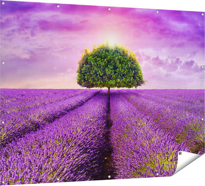 Gards Tuinposter Groene Boom in de Lavendel Bloemen - 160x120 cm - Tuindoek - Tuindecoratie - Wanddecoratie buiten - Tuinschilderij