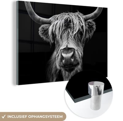 Glasschilderij Schotse hooglander - Koe - Zwart wit - Hoorns - Portret - Slaapkamer decoratie - Wanddecoratie glas - 60x40 cm - Foto op glas - Woonkamer