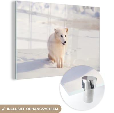 MuchoWow® Glasschilderij 60x40 cm - Schilderij acrylglas - Vos - Sneeuw - Wit - Foto op glas - Schilderijen