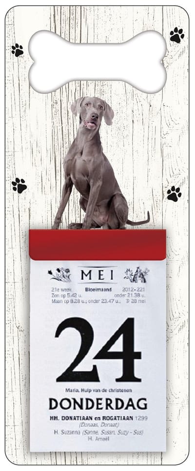 Scheurkalender 2027 Hond: Weimaraner