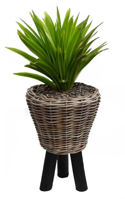 Van der Leeden Planten/bloemen mand - op pootjes - rotan gevlochten - D33 x H45 cm - drypot - plantenpot - bloempot - binnen/buiten