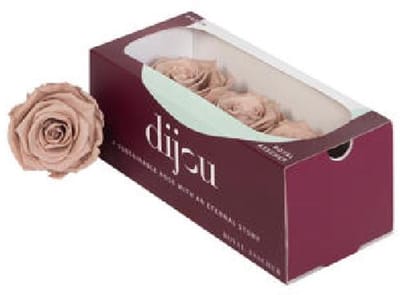 3x Dc pres.rozen latte