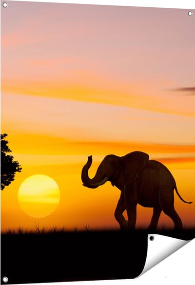Gards Tuinposter Olifant Silhouet tijdens Zonsondergang - 80x100 cm - Tuindoek - Tuindecoratie - Wanddecoratie buiten - Tuinschilderij