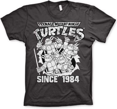 Teenage Mutant Ninja Turtles Heren Tshirt -S- Distressed Since 1984 Grijs