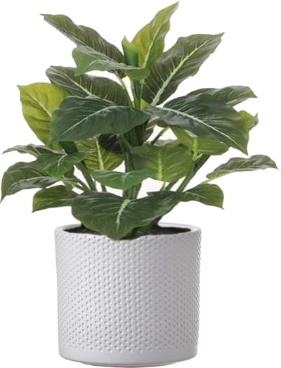 Mica Decorations Kunstplant Aroskelk - groen - H49 cm - in keramiek bloempot - wit - D15 x H13 cm - Philodendron - Kamerplanten