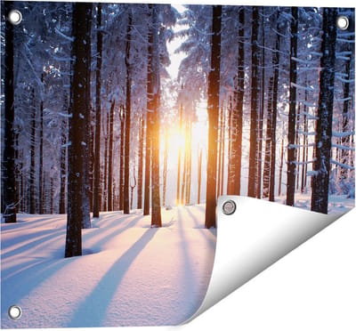 Gards Tuinposter Bos met Sneeuw tijdens de Zonsondergang - 50x40 cm - Tuindoek - Tuindecoratie - Wanddecoratie buiten - Tuinschilderij
