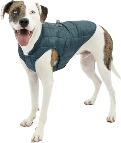 Hondenjack - Winterjas hond - Buitenactiviteiten hond - Omkeerbaar en reflecterend - Maat M - Blauw/Groen