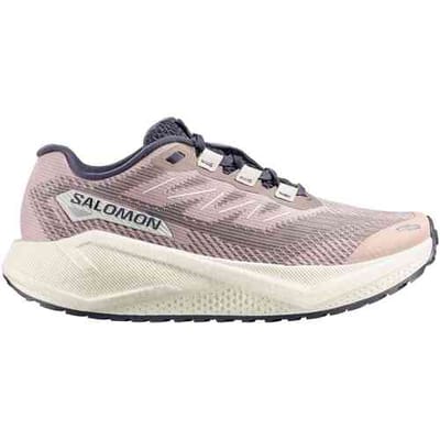 Hardloopschoenen Salomon Aero Blaze 3 GRVL