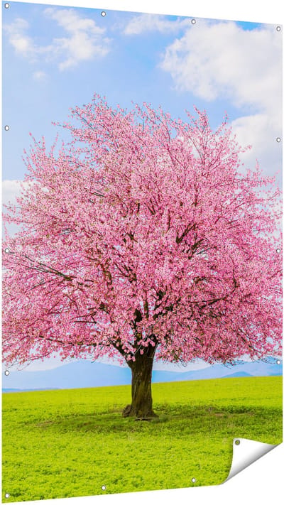 Gards Tuinposter Roze Sakura Bloesem Boom in het Groene Veld - 120x180 cm - Tuindoek - Tuindecoratie - Wanddecoratie buiten - Tuinschilderij