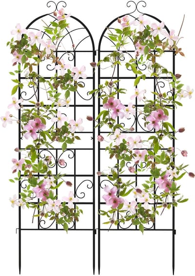 COSTWAY Metalen hekwerk, 2-delige set, decoratief tuinhek, vrijstaande klimhulp, hekwerk voor in de tuin om te steken, rozenhekwerk, klimlatwerk, voor klimplanten, bloemen, groenten (zwart, 180 x 50