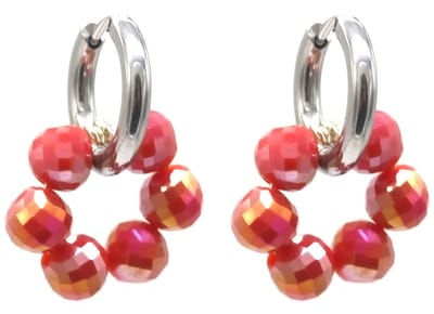 Oorbellen met Steentjes - RVS - 1,5x2,5 cm - Zilverkleurig en Rood