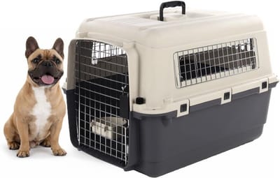 Reisbench hond – Autobench – Transportbox hond – Fomad Donkergrijs M (53x67x47 cm) – Kunststof – Met metalen deur & veiligheidsslot – Inclusief eet- en drinkpot – Flamingo