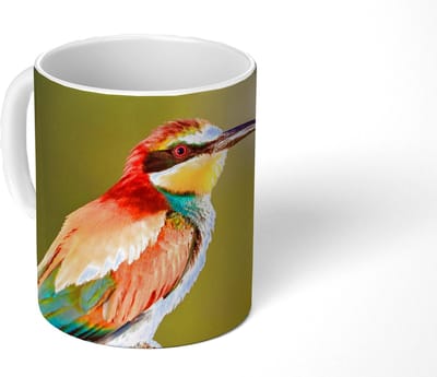 Mok - Koffiemok - Vogels - Bijeneter - Regenboog - Dieren - Mokken - 350 ML - Beker - Koffiemokken - Theemok