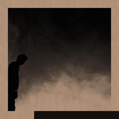 David Allred - Felt The Transition (LP) (Limited Edition)