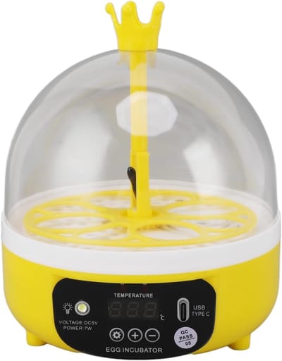 Automatische Eieren Incubator met Temperatuur- en Vochtigheidscontrole voor 4 Eieren - Mini Hatcher voor Kippen en Pluimvee