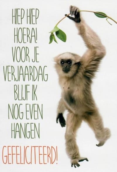 Hiep, hiep, hoera! Voor je verjaardag blij ik nog even hangen! Gefeliciteerd! Een grappige kaart met een leuke aap. Een leuke kaart om zo te geven of om bij een cadeau te voegen. Een dubbele wenskaart inclusief envelop en in folie verpakt.