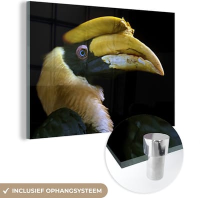 MuchoWow® Glasschilderij 150x100 cm - Schilderij acrylglas - Vogel - Snavel - Zwart - Foto op glas - Schilderijen