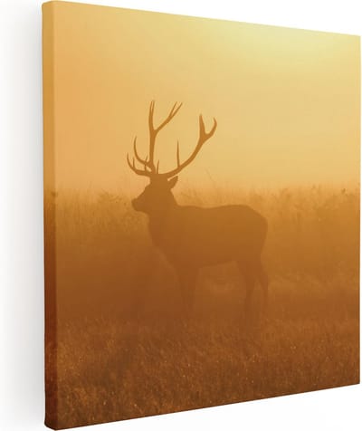 Artaza Canvas Schilderij Hertenkop Met Gewei - 30x30 cm - Klein - Wanddecoratie Dieren - Muurdecoratie Mistige Zonsopgang - Kamer Accessoires