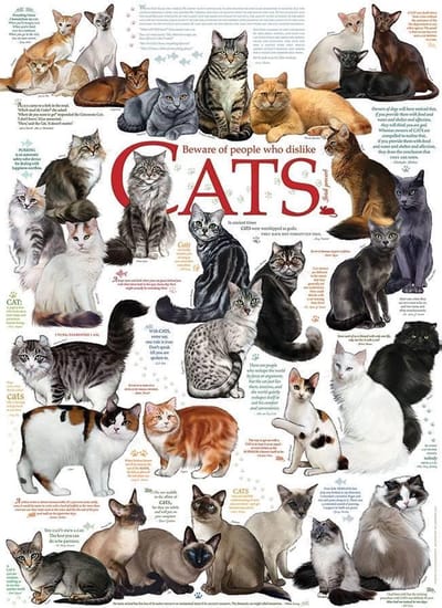 Katten Citaten - 1000 stukjes