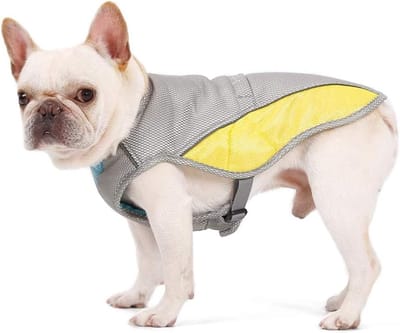 Famanu - Hond Koelvest, Huisdier Hond Koelende Kleding, Outdoor Anti-warmte Zomerjas voor Hond, Hond Ademend Koeljack voor Kleine Medium Grote Hond