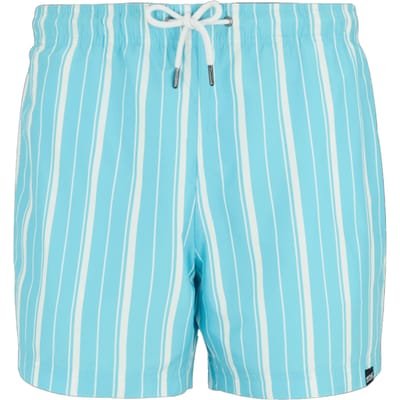 Regatta Heren Loras gestreepte zwembroek (Scandinavisch blauw/wit)