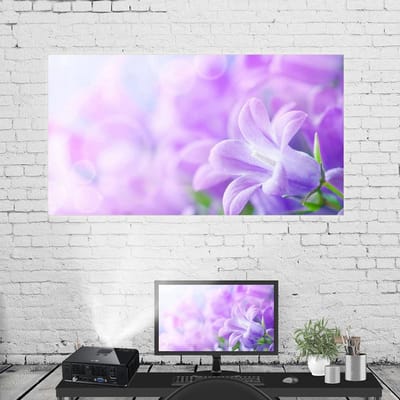 Draagbaar 4K HD Projectiescherm voor Binnen en Buiten, Vouwbaar 16:9 Scherm van Polyester, Ideaal voor Thuisbioscoop en Filmavonden, 60-120 Inch