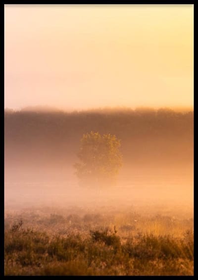 Poster Ginkelse Hei - 30x40 cm - Natuur Poster - WALLLL