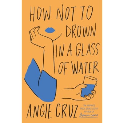 How Not To Drown In A Glass Of Water - Angie Cruz
