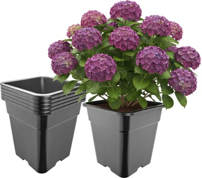 Garronda Set van 5 hoge vierkante kunststof bloempotten met drainagegaten voor tuin (Zwart, 33 x 33 x 34 cm (25L)) GD-KW-HS