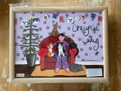 Alex Clark Schootkussen Crazy Cat Lady ~Katten Kerst/winter