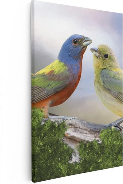Artaza Canvas Schilderij Vogels - 40x60 cm - Wanddecoratie Vogel - Muurdecoratie Woonkamer - Kamer Accessoires Kleurrijk