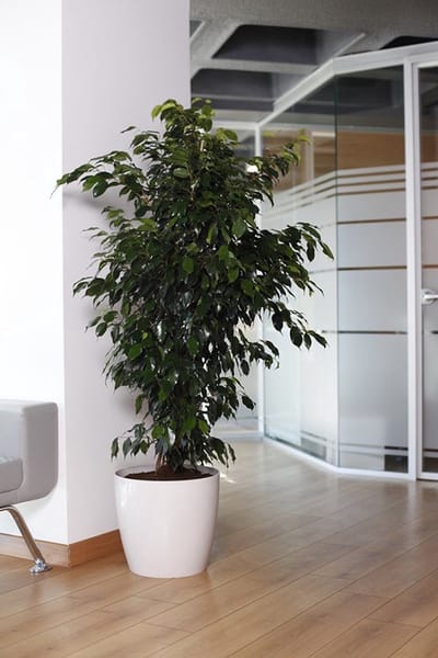 2st luxueuze rond sierpotten Witte Smartpot 'Ruby' Bloempot met drainage 7.4L plantenpot